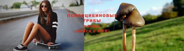 спиды Корсаков